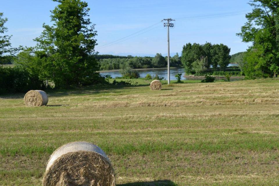 Il Campagnino