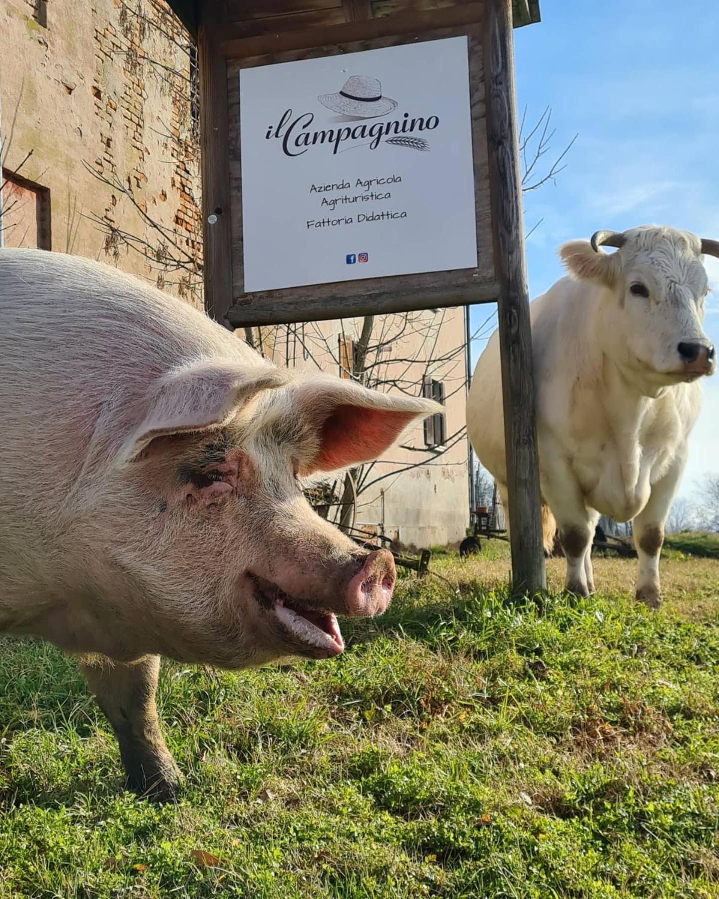 Il Campagnino Cremona